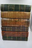 Antique French Leather-Bound Books