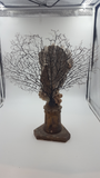 Antique Sea Coral Specimen on 18th Century French Altar Stick