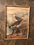 Double Bamboo Frame With Water Bird and Decorative Leaf Print Painted Matting