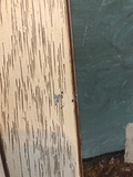 English Oil Painting
