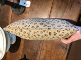 Leopard Pillow