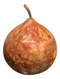 Mid-Century Artist Hand-Painted Marbleized Gourd Signed by Artist