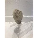 Mid-Century Modern Bitossi Lion
