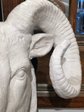Ram's Head