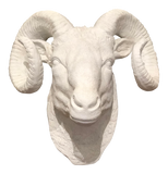 Ram's Head