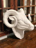 Ram's Head