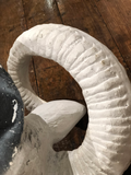 Ram's Head