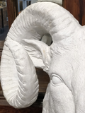 Ram's Head