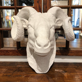 Ram's Head