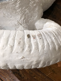 Ram's Head