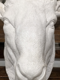 Ram's Head