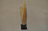 Tusk Casting