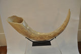 Tusk Casting