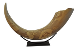 Tusk Casting